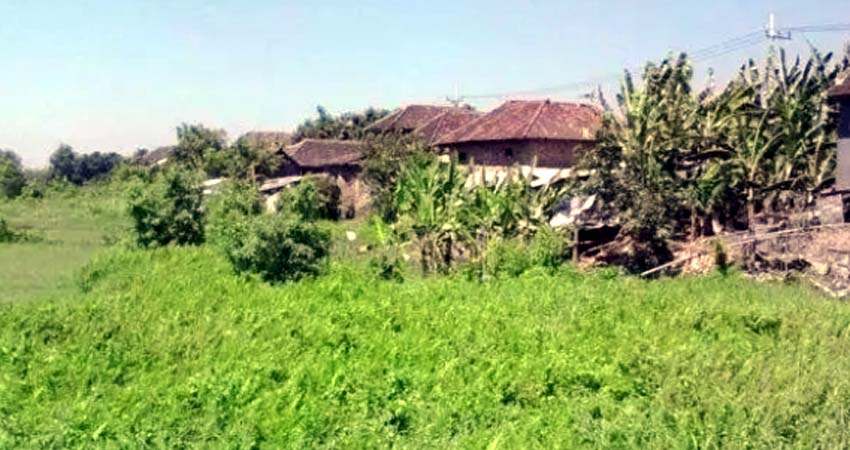 Ratusan Rumah Warga Kedungringin Pasuruan Terancam Digusur